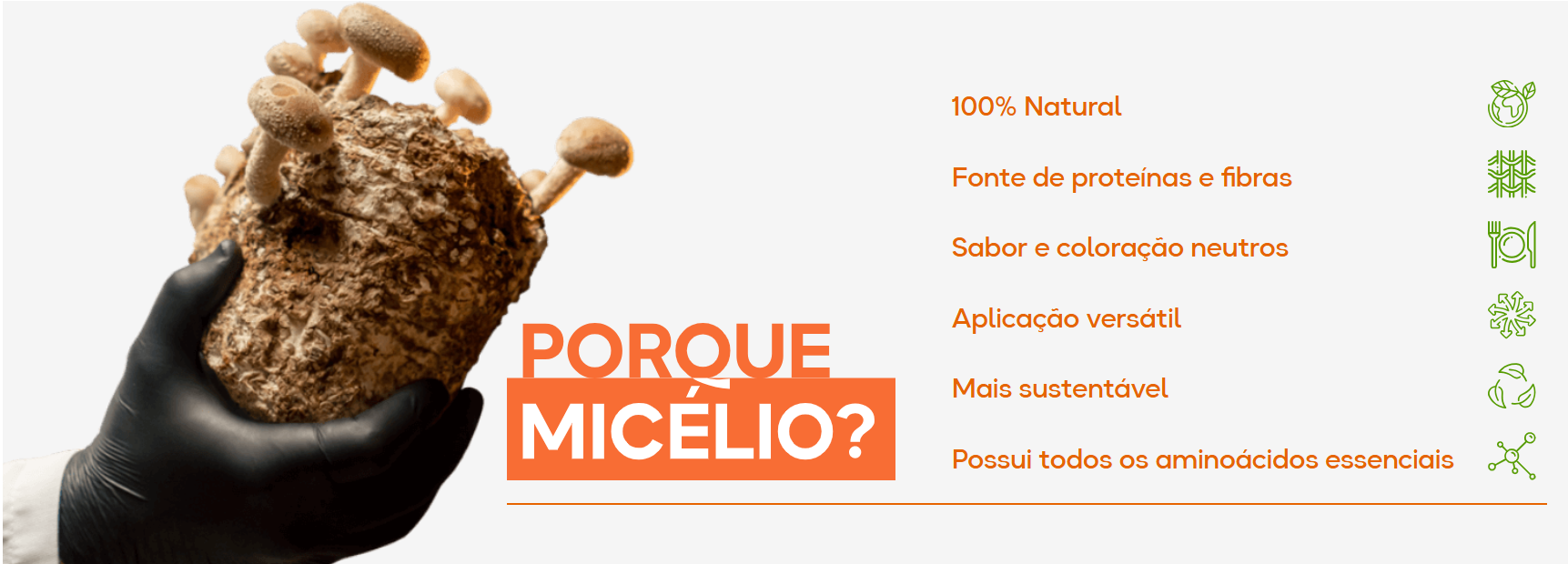 Typcal aposta em fungo para criar proteínas vegetais