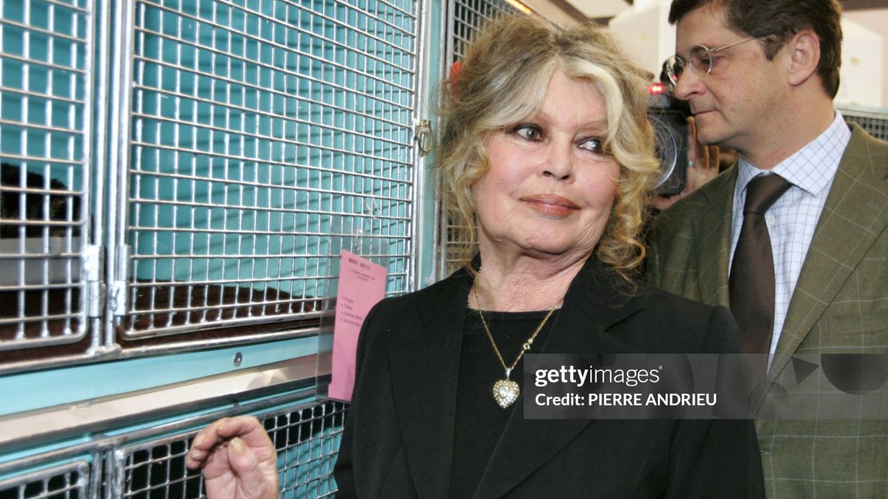 Brigitte Bardot no “Noël des animaux” em Levallois-Perret | Reprodução/Pierre Andrieu/Getty Imagens Embed