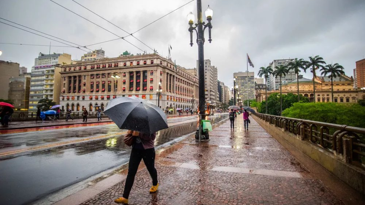 A capital São Paulo | Reprodução/X/@DiariodaCPTM