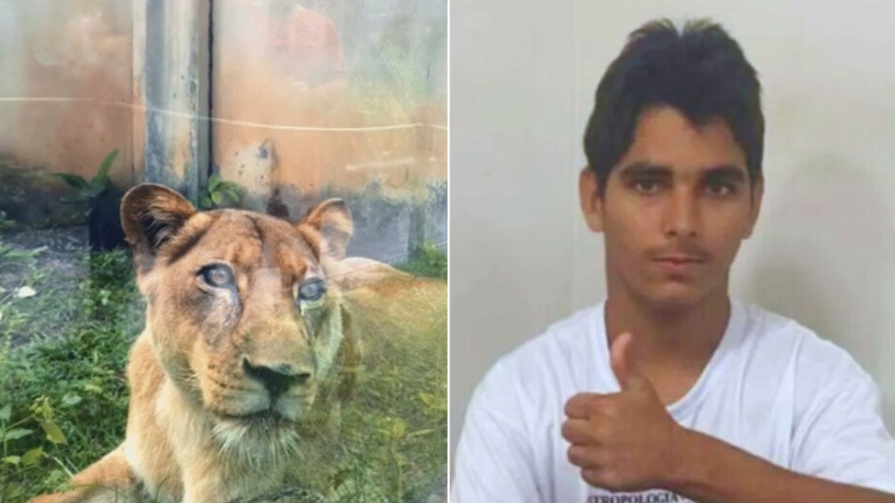 Polícia identifica jovem morto após invadir jaula de leoa em zoológico de João Pessoa