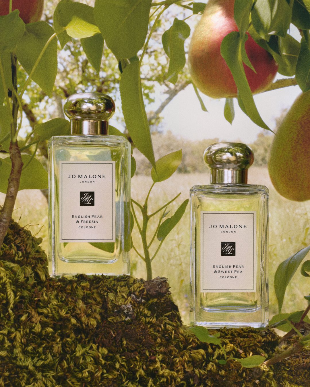Lançamentos e releituras de fragrâncias de grifes de luxo internacionais chegam ao Brasil Lançamentos e releituras de fragrâncias de grifes de luxo internacionais chegam ao Brasil