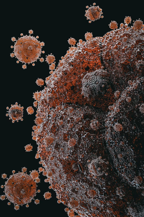 Pela primeira vez, inteligência artificial cria vírus que não existem na natureza Pela primeira vez, inteligência artificial cria vírus que não existem na natureza