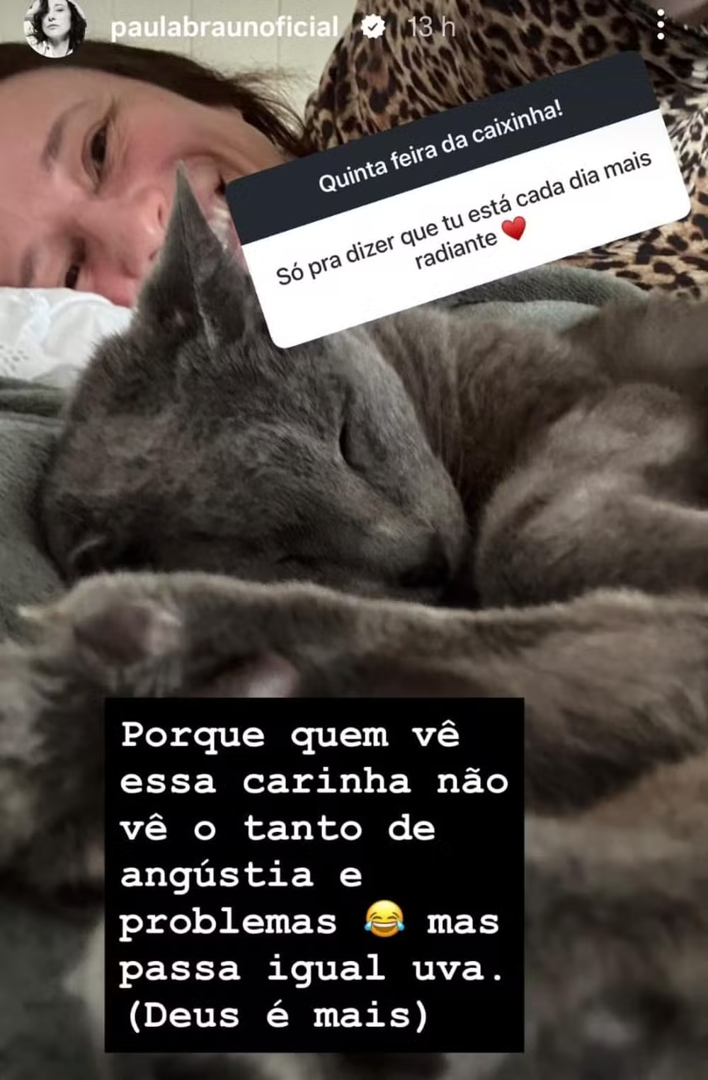 Paula Braun reflete sobre vida amorosa e carreira após separação Captura de tela dos stories da Paula Braun, que mostra uma foto dela deitada ao lado de um gato cinza. Em cima há a mensagem de um seguidor elogiando a atriz, e embaixo a resposta dela.