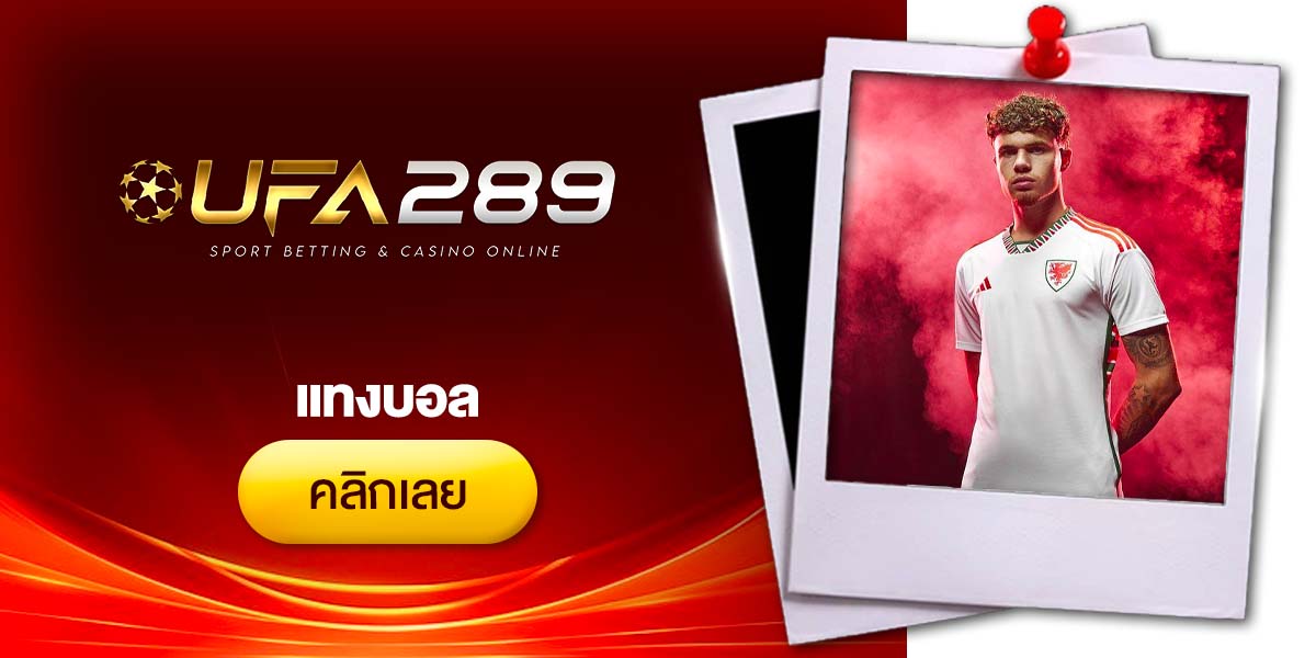 รีวิว 5 เว็บ แทงบอล มือใหม่ก็แทงได้ พร้อมเจาะทุกเรื่องที่ควรรู้ 2026