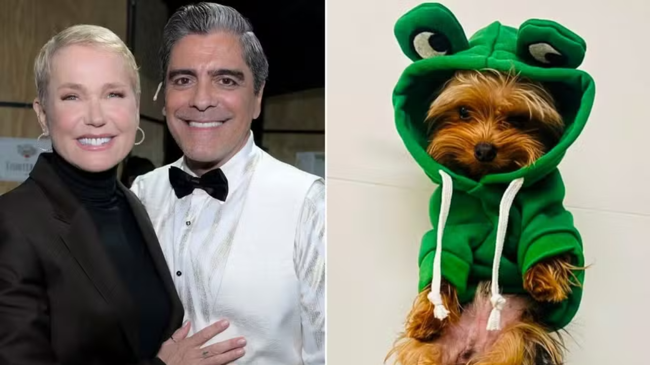 Junno Andrade lamenta a morte de seu cachorro em homenagem comovente: ‘Encheu nossa vida de amor’