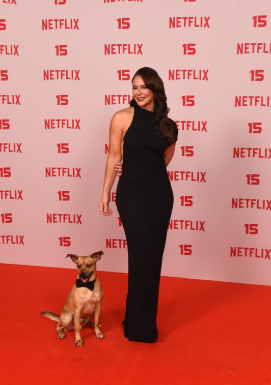 Paolla Oliveira marca presença em evento da Netflix e fala sobre retorno ao Carnaval do Rio Paolla Oliveira marca presença em evento da Netflix e fala sobre retorno ao Carnaval do Rio
