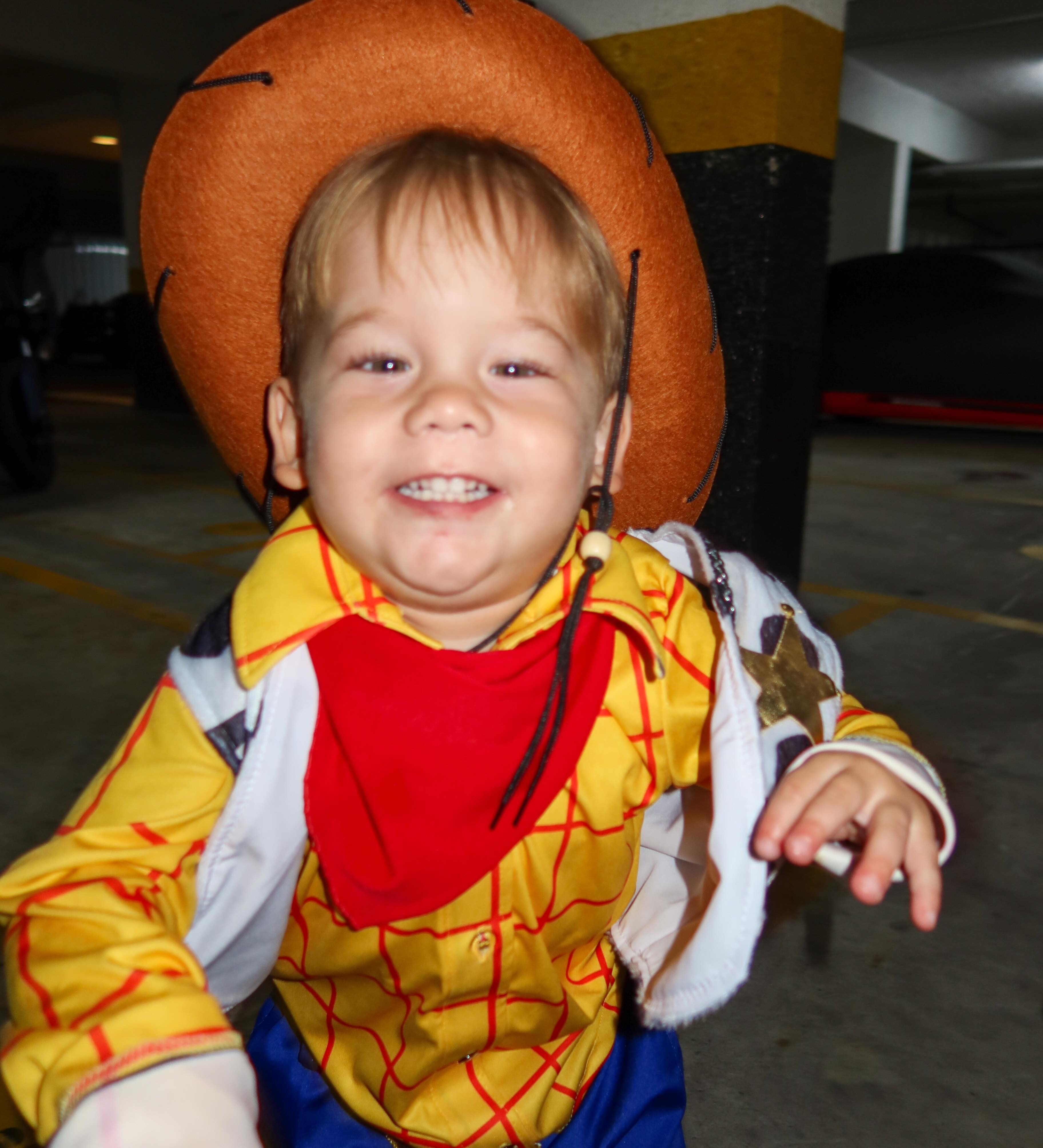 Filhos de Virginia Fonseca se vestem de Toy Story para festa temática Filhos de Virginia Fonseca se vestem de Toy Story para festa temática