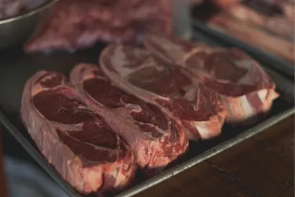 União Europeia suspende produtos de origem animal do Brasil Carne Vermelha é um dos produtos mais importados do Brasil