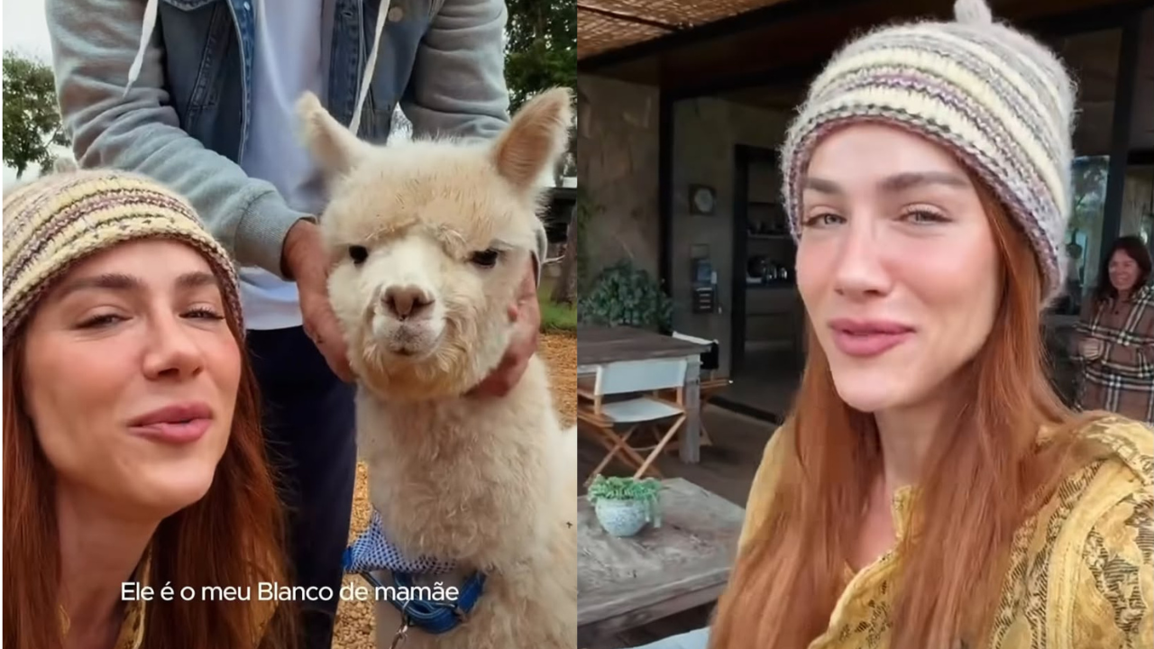 Giovanna Ewbank ganha alpaca de Bruno Gagliasso após mini-cabra e reage: “Vocês são malucos”