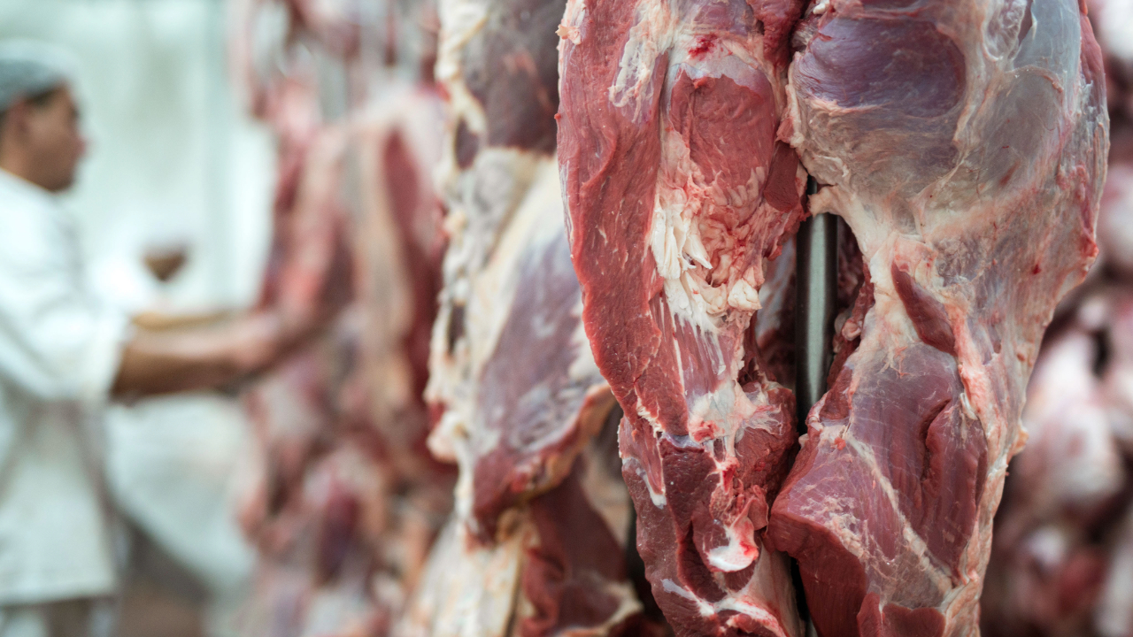 Após barreira da União Europeia, saiba o que muda no setor e se o preço da carne vai cair no Brasil; confira