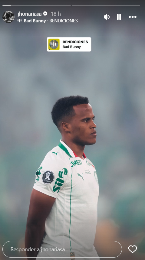 Arias durante partida entre Palmeiras e Fluminense
