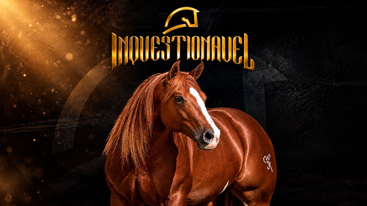 Inquestionável Parth: o garanhão do Monte Sião Haras que reúne títulos, reconhecimento e genética de alta performance